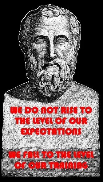 A bust of an ancient greek philosopher with the words " we do not rise to the level of our expectations ".
